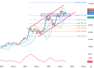 October 2025 Cryptocurrency Report (Part 1): A Mixed Bag of Wins and Woes