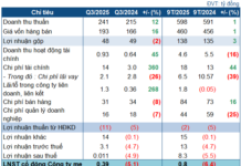Electric Light Escapes Losses Through Asset Liquidation