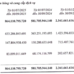 DXS Q3 Profits Double Year-Over-Year, Secures Nearly 6 Trillion VND in Marketing and Project Distribution Deposits
