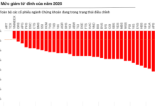 Mastering Stock Market Adjustments: A Comprehensive Guide to Navigating 100% Equity Shifts