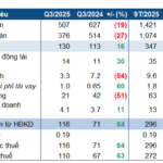 Revenue Plummets, Yet Duc Giang Chemical’s Subsidiary Surges 63% in Profit