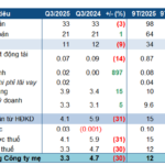 Phuong Phu Pharmaceutical’s Q3 Performance: A Step Back