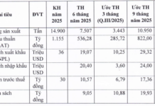 Phú Bài Fiber’s Pre-Tax Profit Surges 72% in 9 Months