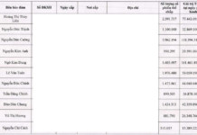 TDP Chairman Pledges Nearly 4 Million Shares as Collateral for VND 350 Billion Bond Issuance