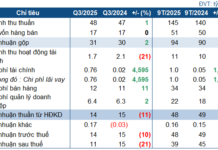 Vĩnh Long Water Narrows Profit Margins as Biwase Expands Ownership Stake
