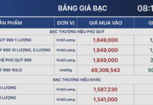 Domestic Silver Prices Surge Past 50 Million VND per Kilogram