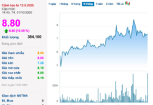 Amidst Allegations of $250 Million Embezzlement, Stock Plunges After Crypto Asset Firm Investment