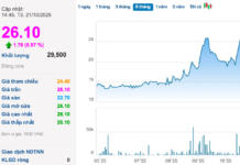 Stock on HOSE Surges to Upper Limit for Four Consecutive Sessions Following a 5,800% Q3 Profit Surge