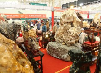 Unveiling Nature’s Marvels: Curious Visitors Admire Billion-Year-Old Fossilized Wood and Priceless Coral Treasures