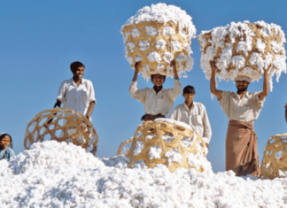 American Loyalists Spend Over $13 Billion on Vietnam’s Top Export, as 66 Countries Compete to Secure It