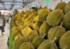Southeast Asia’s Durian Powerhouse Reveals Only 10% Profit Due to Thai Middlemen, Plans Direct Exports to China