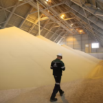 Cambodia Purchases Over 500,000 Tons of Key Commodities from Vietnam: Hailed as a ‘Lifeline’ for Neighboring Agricultural Exports, Vietnam Secures Over $700 Million in Revenue