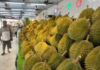 Vietnam’s Durian Emerges as a Thai Rival, Eyes Chinese Market Entry, Experts Warn: At Least 2 Years Needed for Success