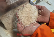 Vietnam Ranks Second Globally in Rice Imports