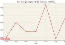 Today’s Coffee Prices (Oct 5): Domestic Prices Dip, China Favors Raw Coffee Imports