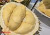 Durian Prices Surge Today (Oct 6-10): Widespread Spike as Demand Outstrips Supply