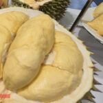 Durian Prices Surge Today (Oct 6-10): Widespread Spike as Demand Outstrips Supply