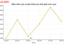 Today’s Coffee Prices (Oct 18): Robusta Cools Down