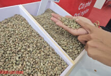 Today’s Coffee Prices (Oct 25): Market Recovery and Unusual Trends in the Top Market