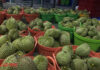 Latest Developments in the Massive Durian Container Backlog Incident