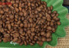 Today’s Coffee Prices (Oct 31): Continued Rise and Strategies to Maintain Coffee’s Top Position