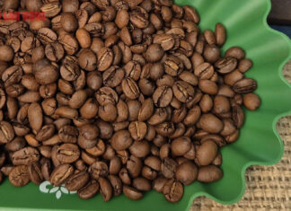 Today’s Coffee Prices (Oct 31): Continued Rise and Strategies to Maintain Coffee’s Top Position