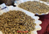 Today’s Coffee Prices (Oct 14): Strong Start to the Week with Upward Trend