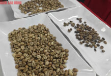 Today’s Coffee Prices (10/13): Will a Surge in U.S. Purchases Spark a Rebound?