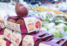 Vietnam’s Million-Dollar Export Sensation: China’s Mass Acquisition Propels Nation into Top 10 Global Exporters