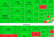 Stock Market Update October 29: Anticipating the Next Rally to Acquire Shares
