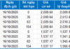 Derivatives Market on October 16, 2025: Lingering Uncertainty Ahead of Expiry Session