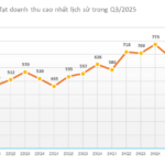 Viconship Reports 456 Billion VND Profit in First 9 Months, Up Nearly 50% Year-on-Year