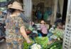 Vegetable Prices Skyrocket in Hanoi, Doubling Post-Typhoon Bualoi