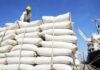 Asian Rice Market Hits Multi-Year Lows