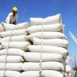 Asian Rice Market Hits Multi-Year Lows