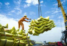 Vietnam’s Rice Exports Surpass 7 Million Tons