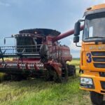 Why Cuba is Embracing Vietnam’s CT16 Rice Variety: Unlocking the Secrets Behind Its Success