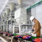 Duc Giang Chemicals Holds Over VND 12,700 Billion in Bank Deposits, Q3/2025 Net Profit Reaches VND 804 Billion