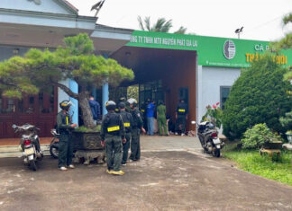 Unveiling the Counterfeit Coffee Scandal: Shocking Caffeine Levels Exposed in Fake Products