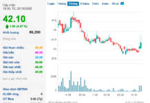 Mobifone Affiliate Prepares to Distribute 25% Cash Dividend