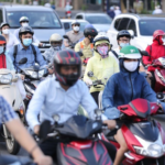 Why Do Honda and Other Japanese Automakers Need 2-3 More Years for the “Green Transition” Despite Long-Standing Policies?