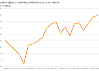 Bình Minh Plastics (BMP) Reports Record Profits Under Thai Ownership, with Nearly 70% of Total Assets in Cash