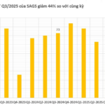 SGN Ground Services Reports 44% Drop in Q3/2025 Profits Following Loss of Vietjet Contract