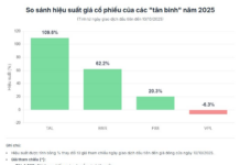 Vietnam’s 2025 Stock Market Newcomers: Doubling Prices, Laggards, and Billion-Dollar Giants on the Horizon