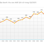 Viconship Reports 456 Billion VND Profit in First 9 Months, Up Nearly 50% Year-on-Year