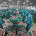 Vietnam-Singapore Trade Flourishes, Total Turnover Reaches Nearly $2.47 Billion