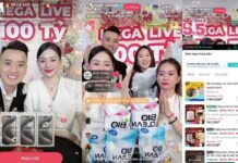 Unveiling the Billion-Dollar Livestream Shopping Empire: Navigating the Legal Gray Area