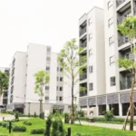 From Social Welfare Policies to a Vision of Humane Urban Development