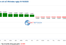Market Pulse 01/10: VN-Index Sustains Green at 1,665 Points