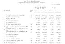 EVF Achieves Exceptional Growth: 9-Month Profits Surge by Nearly 70%